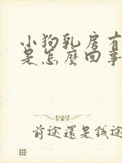 小狗乳房有硬块是怎么回事