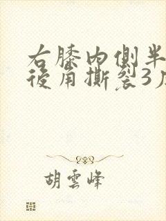 右膝内侧半月板后角撕裂3度封面