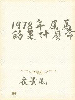 1978年属马的是什么命五行属什么