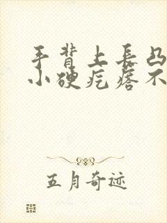 手背上长凸起的小硬疙瘩不痛不痒