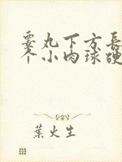 睾丸下方长了一个小肉球硬硬的