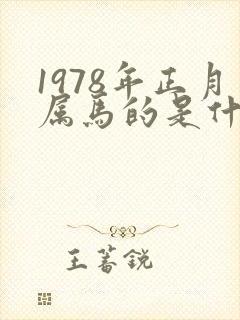 1978年正月属马的是什么命