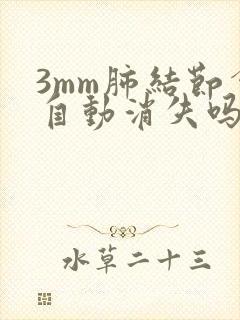 3mm肺结节会自动消失吗