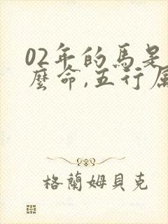 02年的马是什么命,五行属性