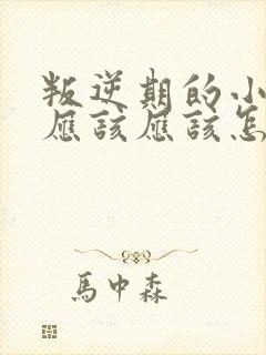 叛逆期的小孩子应该应该怎么教育封面
