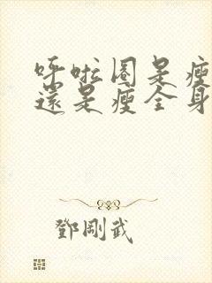 呼啦圈是瘦肚子还是瘦全身封面