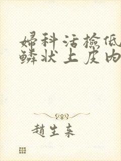 妇科活检低级别鳞状上皮内病变