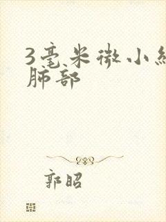 3毫米微小结节肺部
