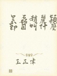 吴磊赵丽颖综艺节目叫什么封面