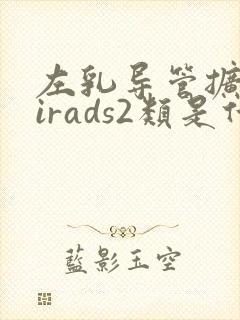 左乳导管扩张birads2类是什么意思
