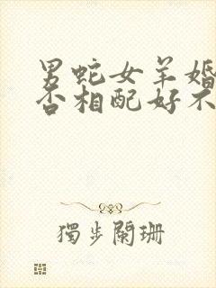男蛇女羊婚姻是否相配好不好封面