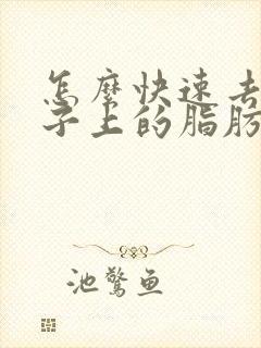 怎么快速去除肚子上的脂肪封面