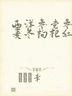西洋参党参黄芪麦冬枸杞红枣