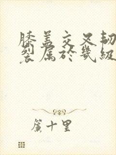 书籍封面