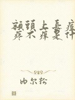 额头上长痘痘不疼不痒是什么原因