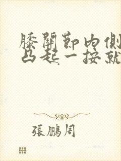 膝关节内侧骨头凸起一按就疼