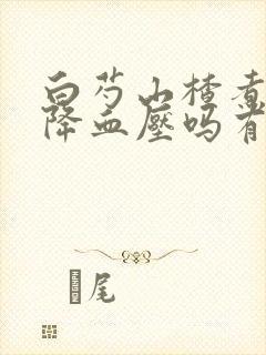 白芍山楂煮水喝降血压吗有效果吗