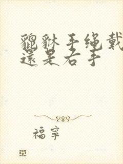 貔貅手绳戴左手还是右手封面