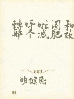 转呼啦圈和快走哪个减肥效果好