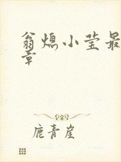 翁熄小莹最新节章封面