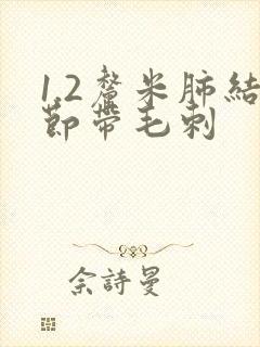 1.2厘米肺结节带毛刺