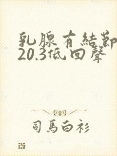 乳腺有结节0.20.3低回声