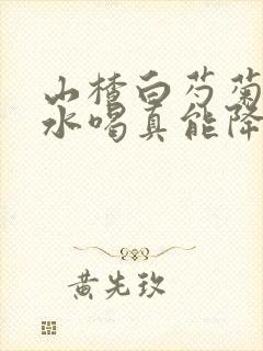 山楂白芍菊花煮水喝真能降血压吗