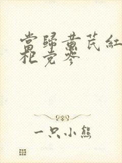 当归黄芪红枣枸杞党参