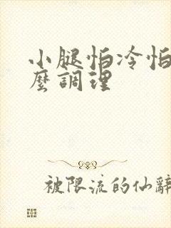 小腿怕冷怕风怎么调理