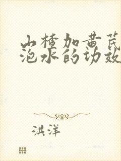 山楂加黄芪枸杞泡水的功效和作用及禁忌