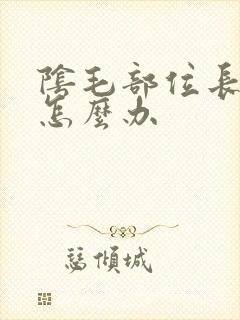 阴毛部位长阴虱怎么办