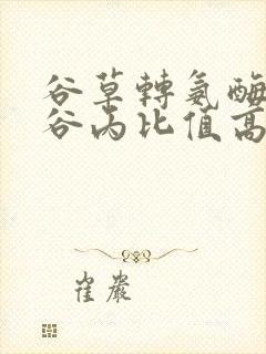 谷草转氨酶谷草谷丙比值高怎么回事