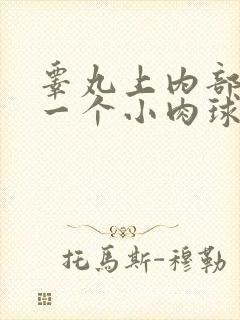 睾丸上内部长了一个小肉球硬硬的