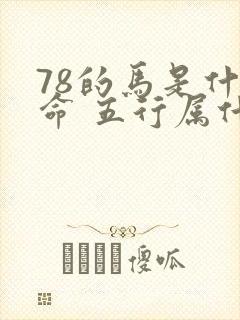 78的马是什么命 五行属什么封面