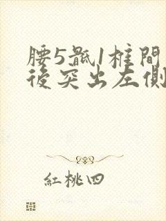 腰5骶1椎间盘后突出左侧腿痛
