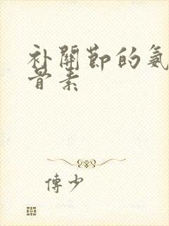 补关节的氨糖软骨素