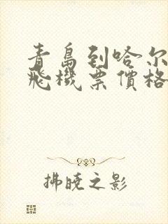 青岛到哈尔滨的飞机票价格查询封面
