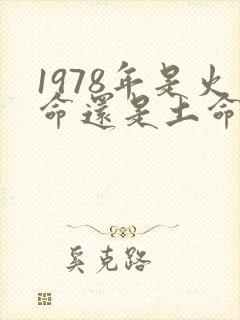 1978年是火命还是土命