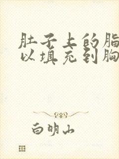 肚子上的脂肪可以填充到胸部吗