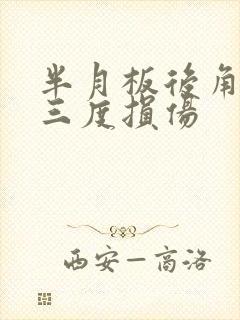 半月板后角撕裂三度损伤