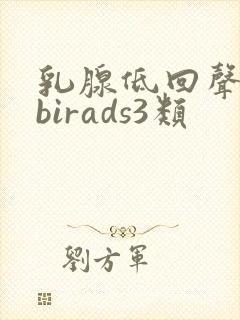 乳腺低回声团块birads3类
