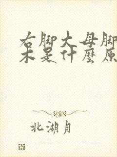 右脚大母脚趾麻木是什么原因引起的