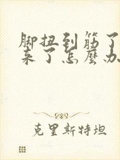 脚扭到筋了肿起来了怎么办封面