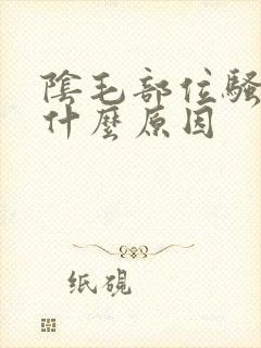 阴毛部位骚痒是什么原因