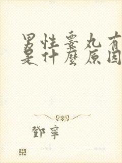 男性睾丸有点疼是什么原因封面