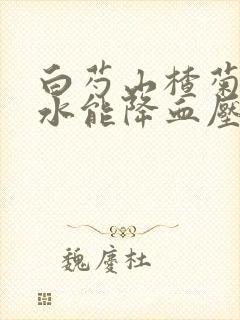 白芍山楂菊花泡水能降血压吗