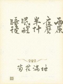 睡眠半夜两三点后醒什么原因
