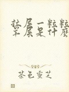拉屎一粒粒的像羊屎是什么原因呢封面