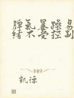 脾气暴躁易怒情绪不受控制老是打孩子