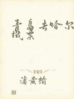 青岛去哈尔滨飞机票